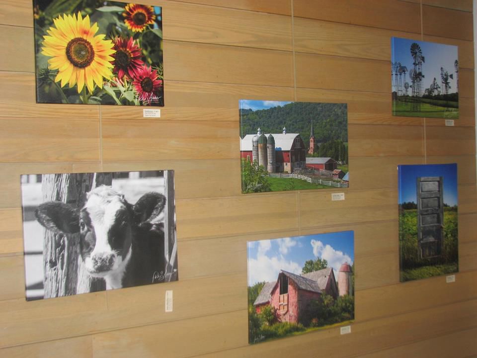 Phil Addis artist reception